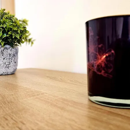 Charming One Bedroom With Panoramic View